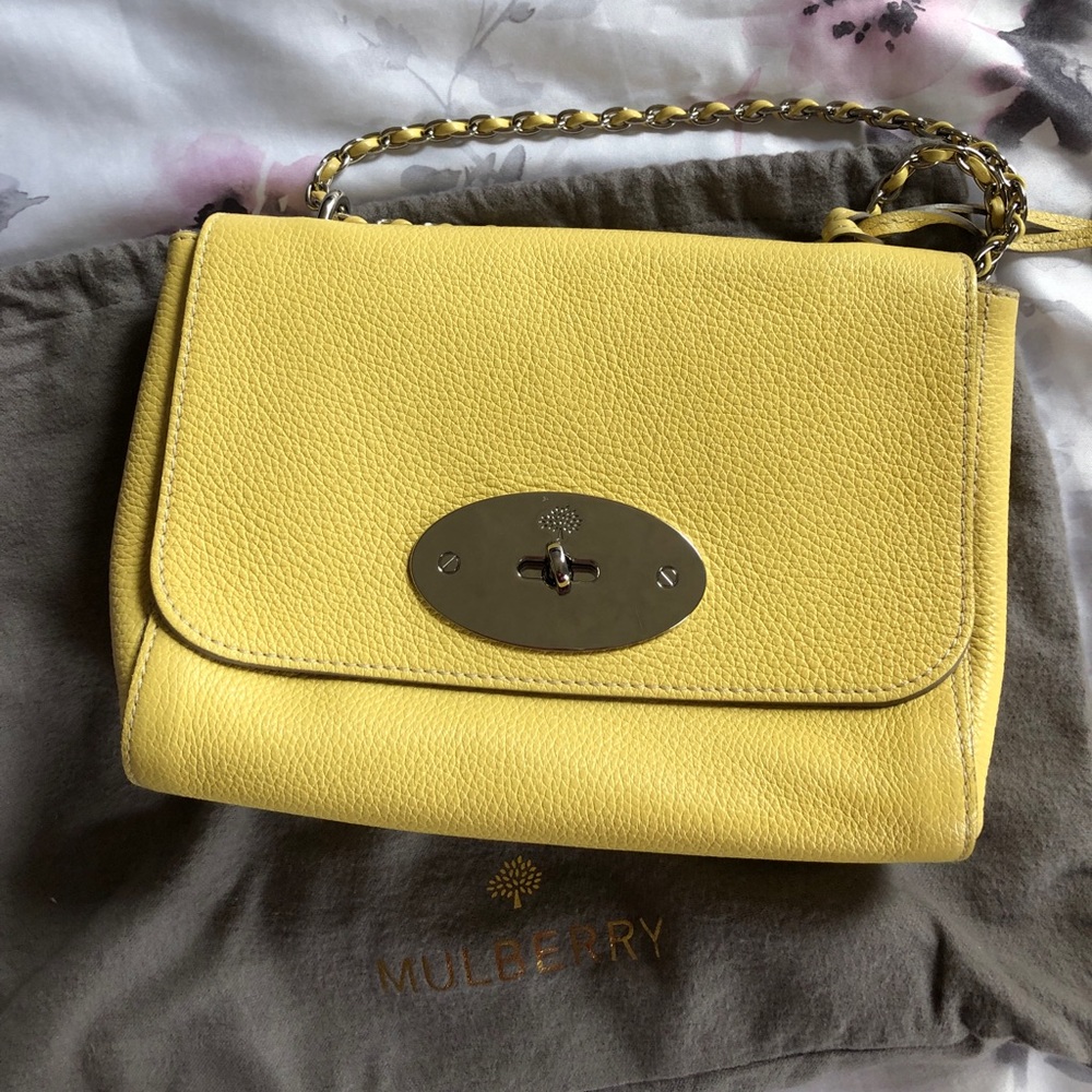 Small Mulberry bag on chain